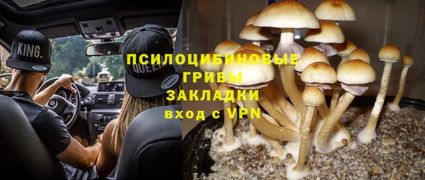 спиды Арсеньев