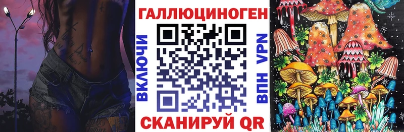 дарнет шоп  Тейково  Галлюциногенные грибы Psilocybine cubensis 